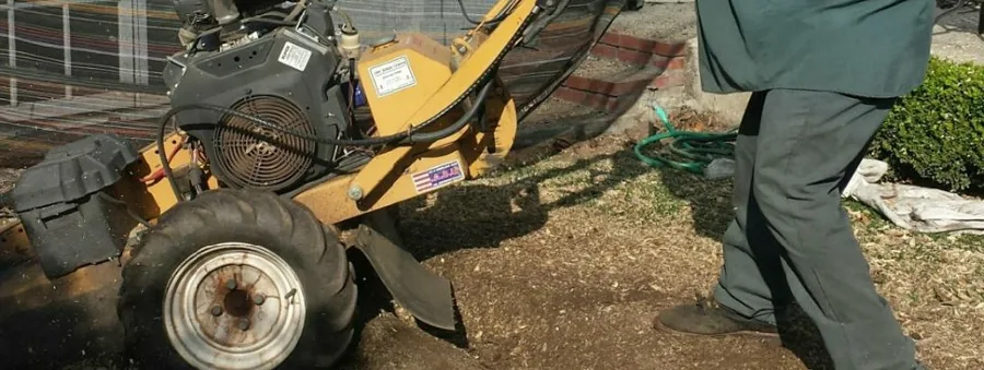 Anderson stump grinder removing a stump below grade